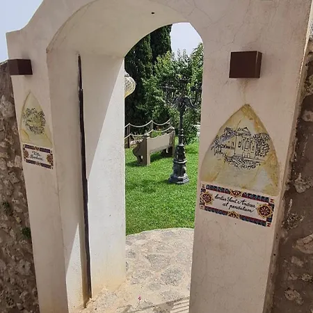 Barluzzi