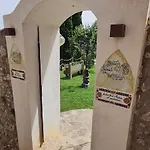 Barluzzi